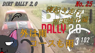 「DiRT Rally 2.0」25