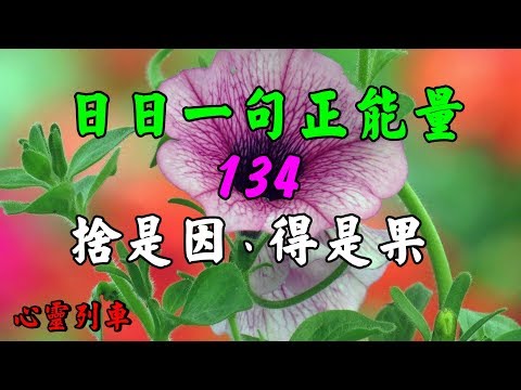 【心靈列車 】 日日一句正能量：134  捨是因得是果