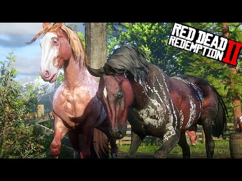 Família de Cavalos Selvagens + De Volta ao Lar! LOBOS!, Red Dead  Redemption 2: Animais Mod