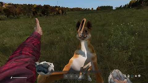 DayZ - Dingo AI - first test