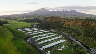 Shared Horizons 24  Tegel