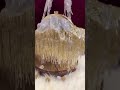 Amaging#short #shortvideo #video #viral #shorts