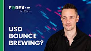 US Dollar Bounce Brewing USD/JPY Leads the FX Setups