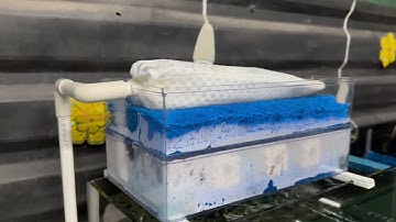 Setup hồ tràn trên đẹp mềm cho ae mới chơi