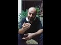 أ م ن آل ن ع م لعمر بن أبي ربيعة أداء أبي قيس محمد رشيد تصوير عبد الرحمن إياد مشتهى