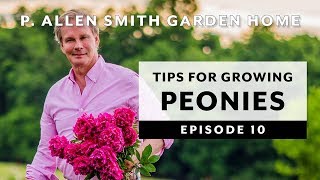 Peonies | Growing Tips & FAQ: Garden Home VLOG (2019) 4K