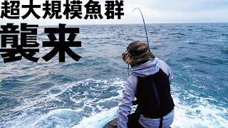 入門者向けリールで青物を狙いに行った結果…未曾有の魚群出現でエラいことになった件。