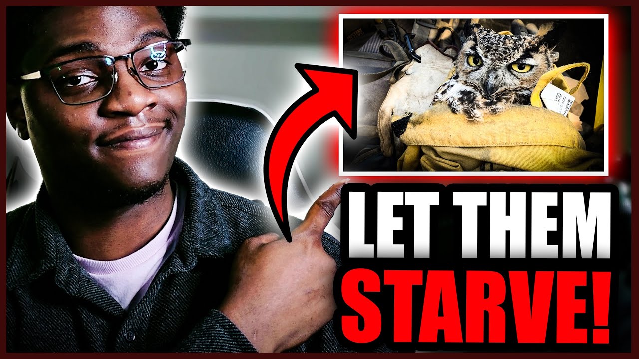 Undeniable Proof That Vegans Actually Hate Animals