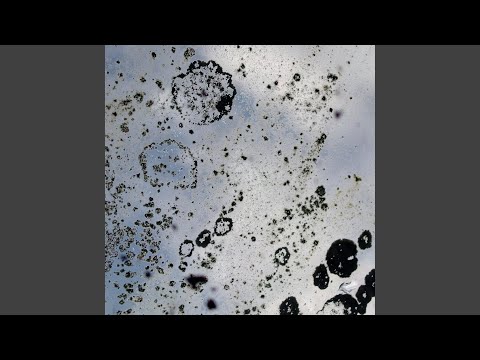 Watch Pulul on YouTube