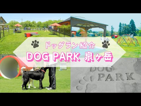 宮城県の新ドッグラン 【 DogPark泉ヶ岳 】施設紹介♪これ見てGO!
