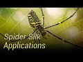 Applications of Spider Silk
