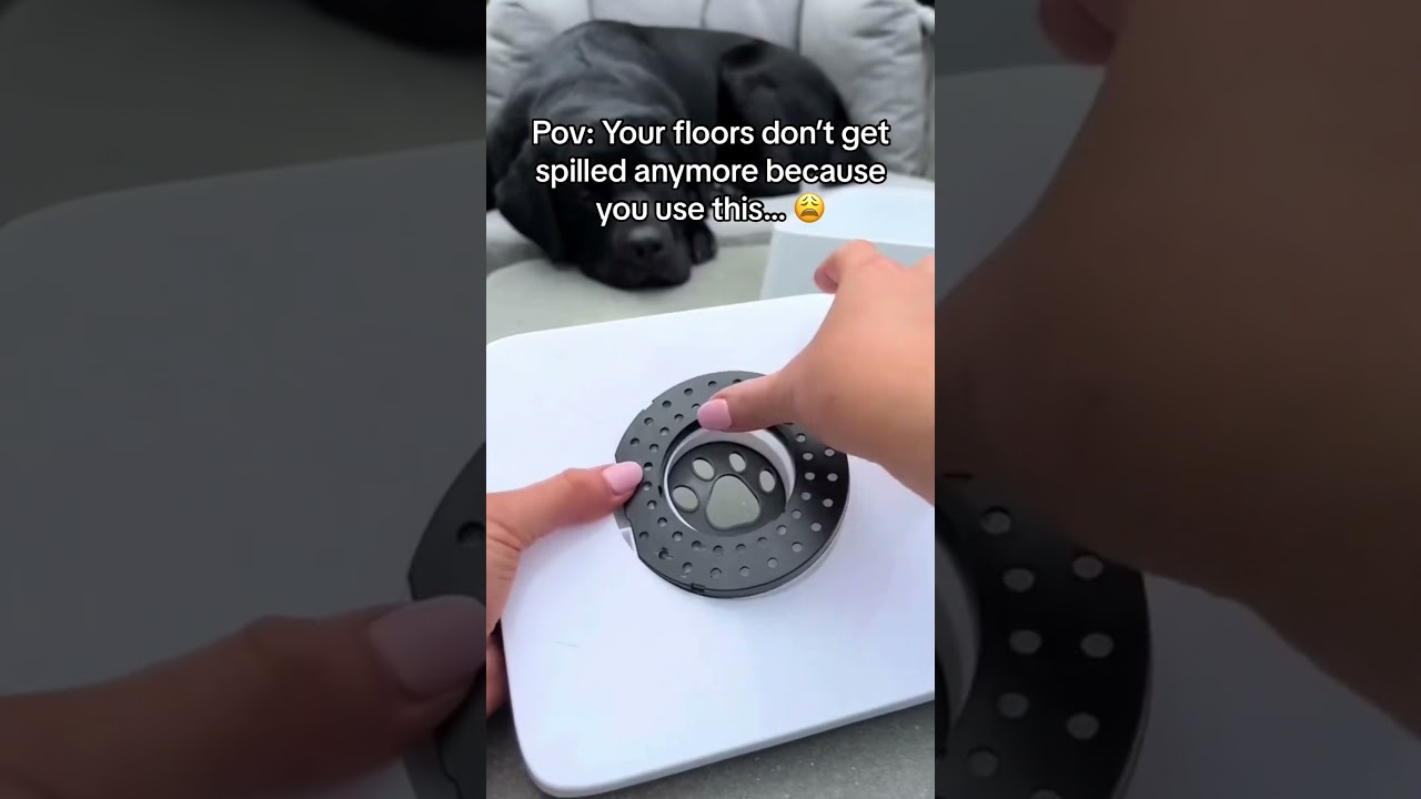 Splash-Proof Water Bowl: No More Mess, Just Happy Pets!