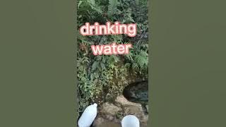 #short..drinking water in the mountain