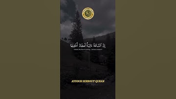 سورة طه الآية 13-15 تلاوة الشيخ محمد أيوب