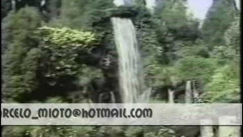 MENUDO VIDEO CLIPE HEAVENLY ANGEL 1984 - RICKY, CHARLIE, RAY, ROY, ROBBY