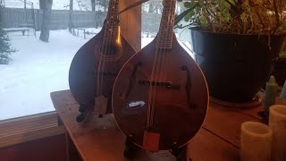 Best Advice on YouTube For Buying a Mandolin!