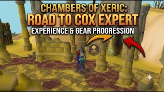 Road To CoX Expert! | Chambers of Xeric Full Guide [Urdu/Hindi]