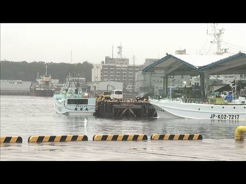 Bear Takes Over Fishing Boat, Likely Escaped by Jumping into the Sea: Shiogama, Miyagi (September...