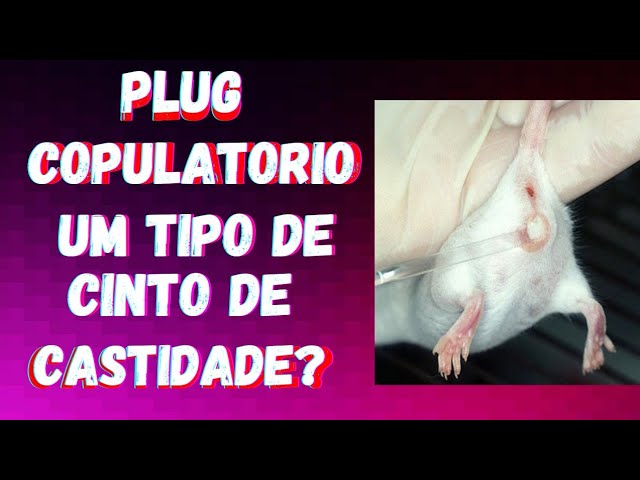 Anjelika va uning yigiti barcha porno Mobil porno: Dostim xotinimni sikadi