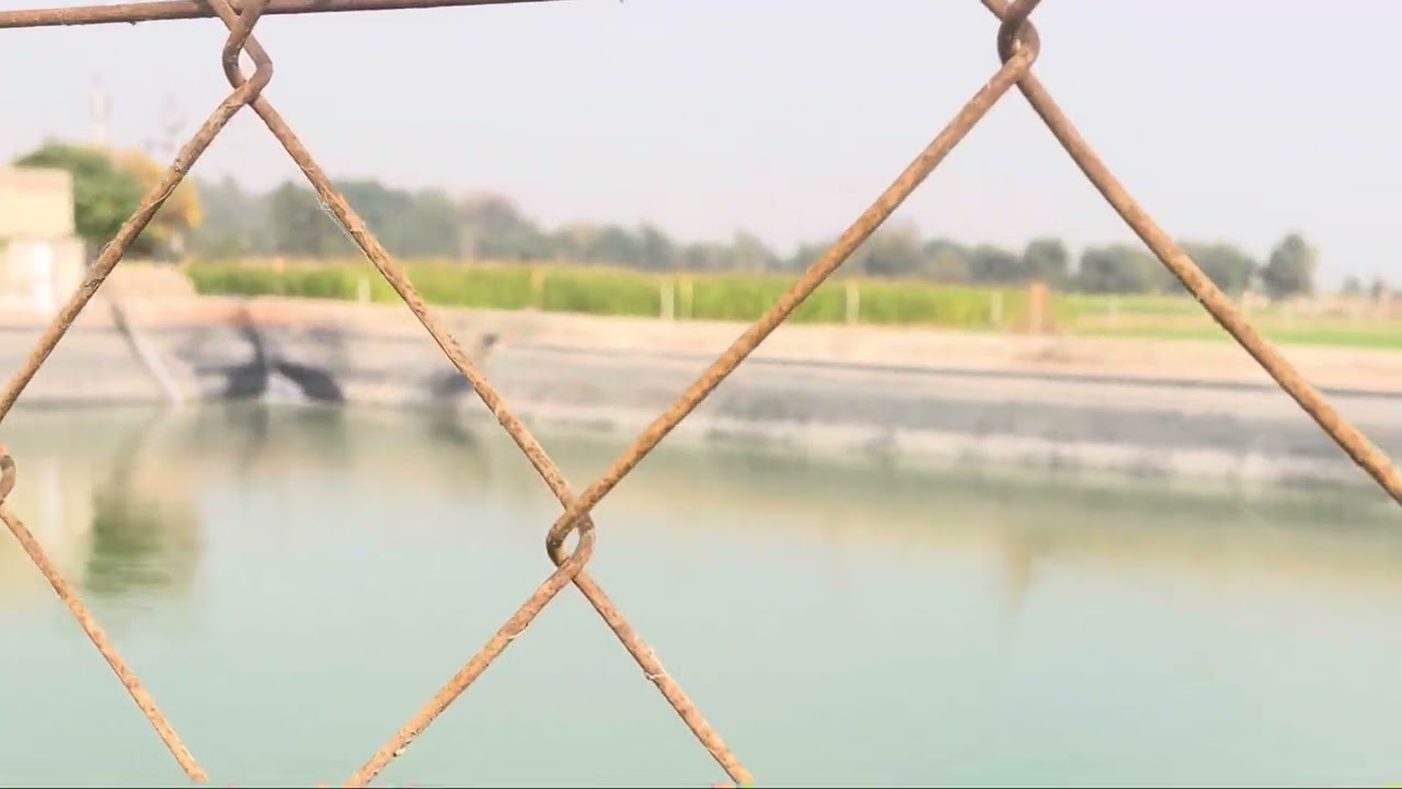 यह काम आती है डिग्गी जिसके खेत में डिग्गी है नजारे ही नजारे