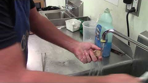 Cuttle Bone Casting cleanup part 3