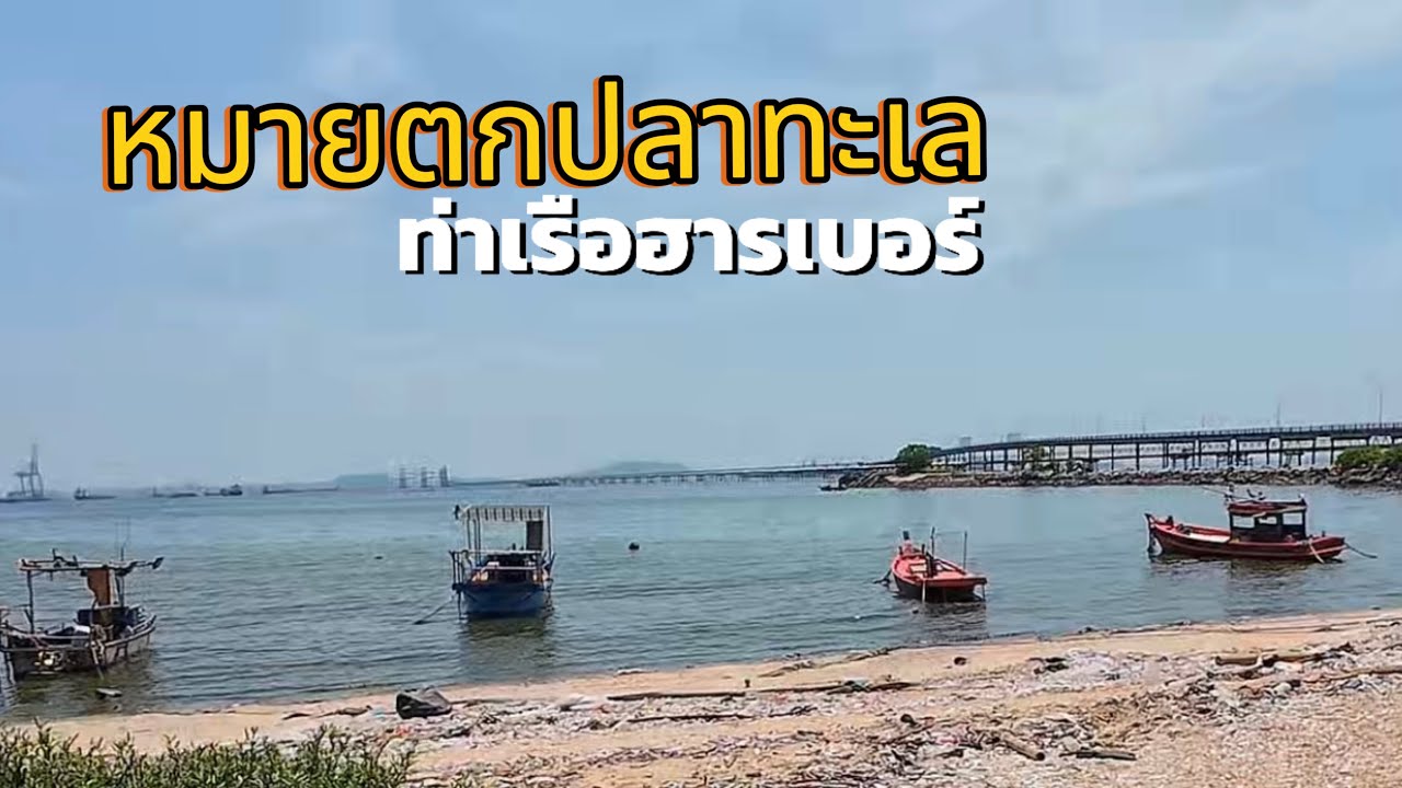 หมายตกปลาทะเล ท่าเรือฮารเบอร์ #fishing #ตกปลาทะเล #beach #หมายตกปลา #ตกปลาชายฝั่ง #หมายตกปลาทะเล