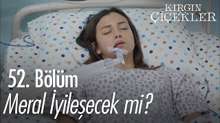 Meral ne zaman uyanacak? - Kırgın Çiçekler 52. Bölüm