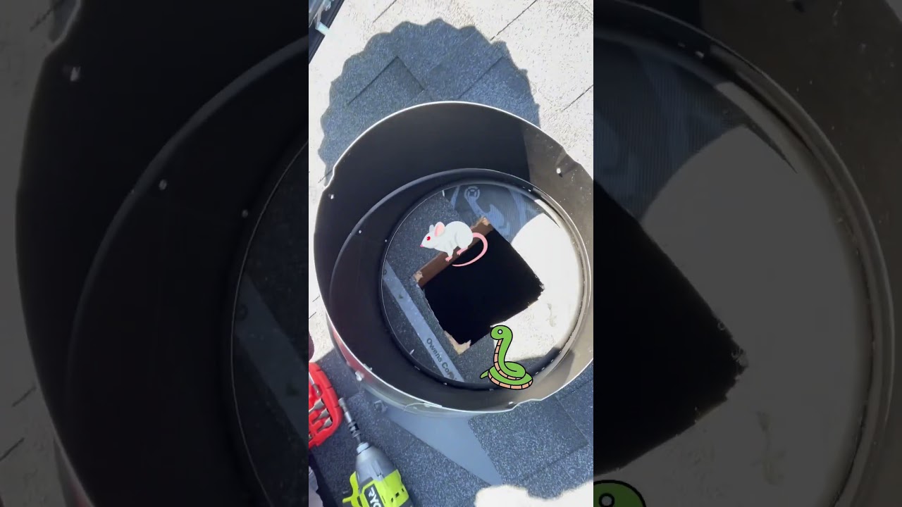 Roof Vents Let Animals In Your Attic!🐁🐍😱 