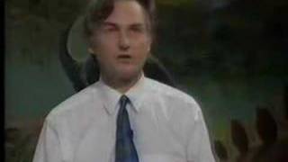Dawkins: Lecture 4. The ultraviolet garden (4 of 7)