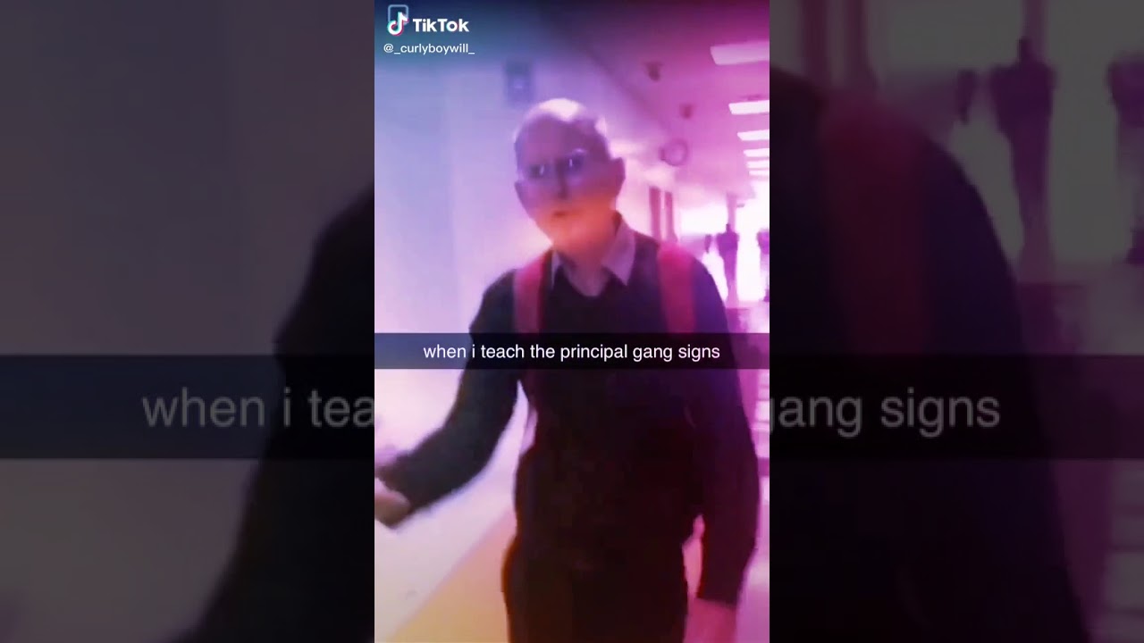 When you teach the principal gang signs TikTok YouTube