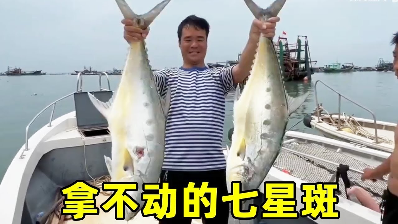 突發！海底偶遇七星斑！阿爾鋒乘勝追擊，成功捕獲兩條巨大七星斑#釣魚#潛水#海釣#捕魚