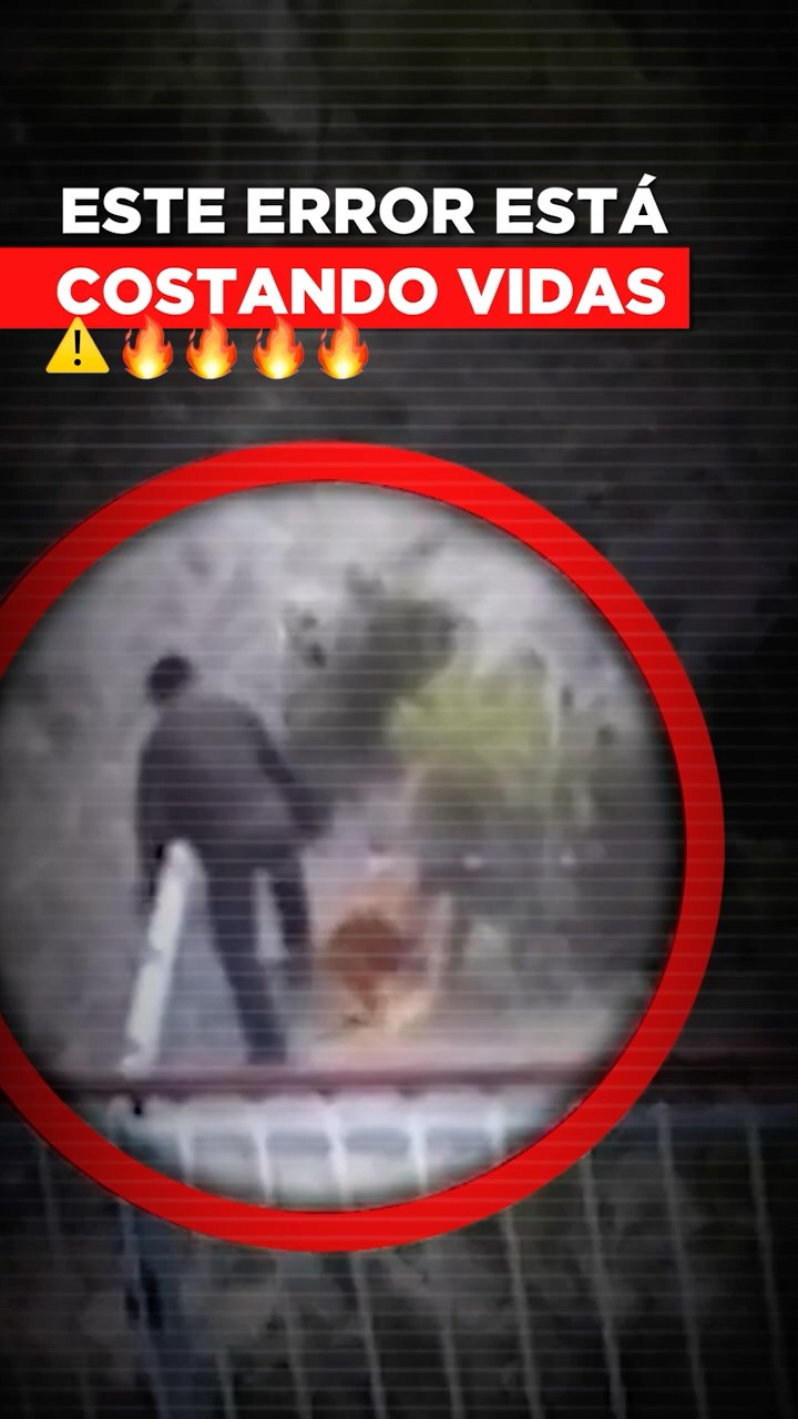 Este error le cuesta la vida a miles de animales