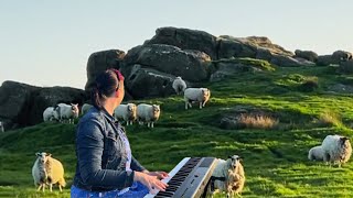 Playing Bach to a flock of sheep! and you wont believe what happens ?