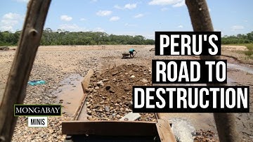 Peruvian Amazon under threat as roads and mining cause serious deforestation | World Population Day