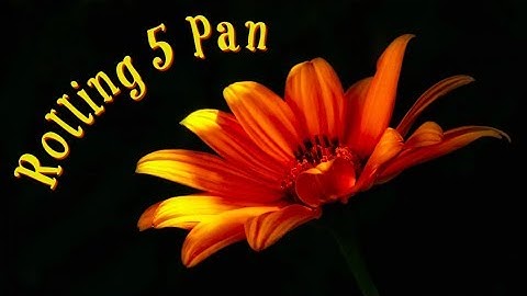 Rolling 5 Pan Intro // Collab w/ Amanda