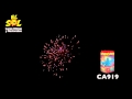 CA919