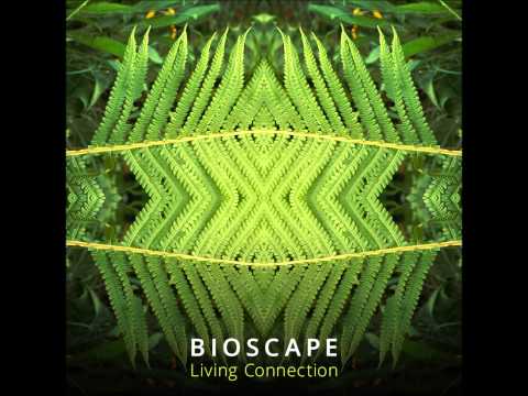 Bioscape — Bioscape - Nature Essence [Living Connection]