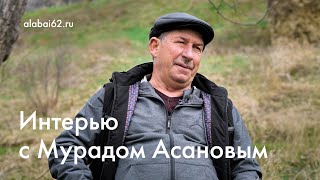 "Алабай62" | МООС "Волкодав" | Интервью с Мурадом Асановым (2024)