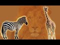 Savanna Animals and Their Adaptations