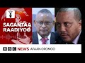 Gareen 'warra mootummaa fonqolchuun Tigaayitti aangoo qabatan dhabamsiisuuf hundeeffamne' eenyu?
