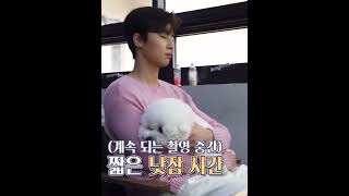 PARK SEOJOON ON HIS CUTE DOG ❤️ #parkseojoon #doglovers