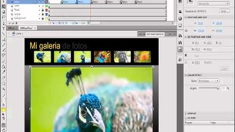 0612-Animar las transiciones de fotos, Flash CS4