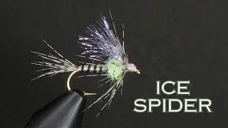 Ice Spider by Allen McGee 366 views 2 months ago 7 minutes, 45 seconds