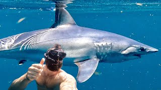 🇹🇹 Face to Face with a Mako Shark - Tobago Day 1