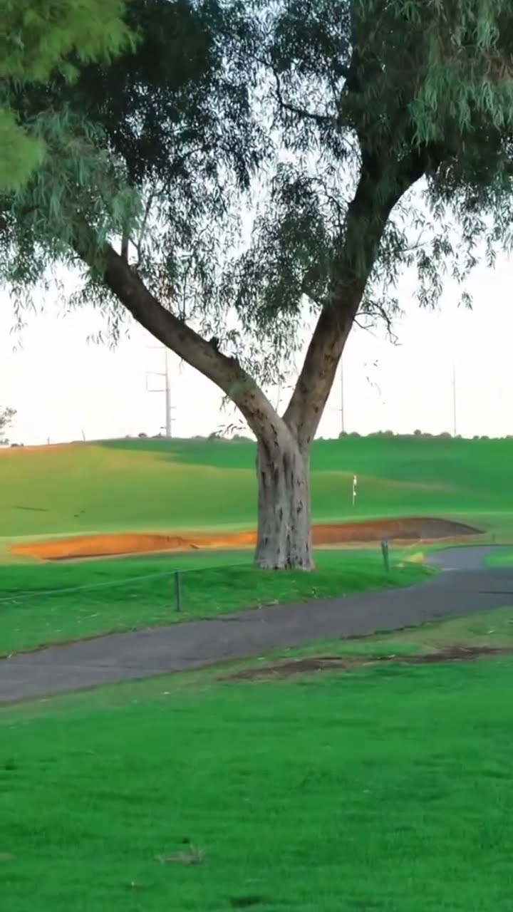 Not up not in #golf #golfgirl