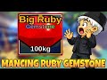 MABAR LUCK X8 SAMBIL MANCING RUBY GEMSTONE DI FISH IT