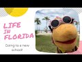 Life in Miami Florida Learn English Elementary Lessons Learn Play Anglais