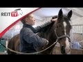 Berufe rund ums Pferd | Reiten bei der Bundeswehr