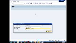 22  Function Modules with parameters examples