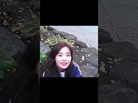 일본의 가을 가기 전🍂 thumbnail